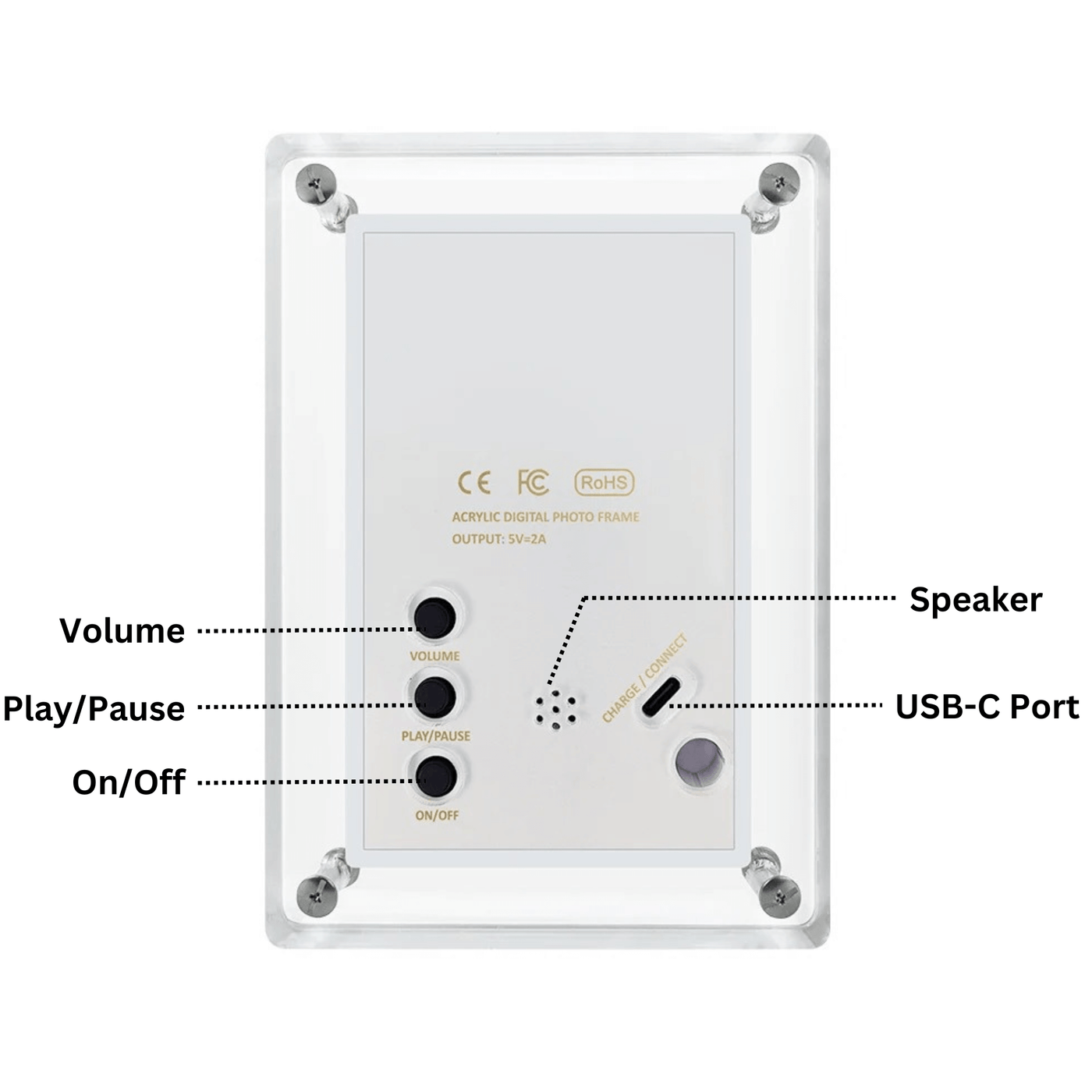 Digital Ultrasound Frame