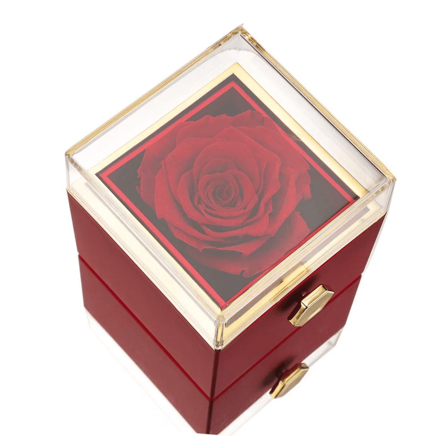 Eternal Rose Box With Engraved Necklace